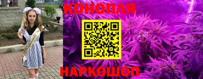 2c-b Пугачёв