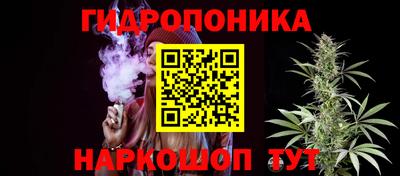 2c-b Пугачёв