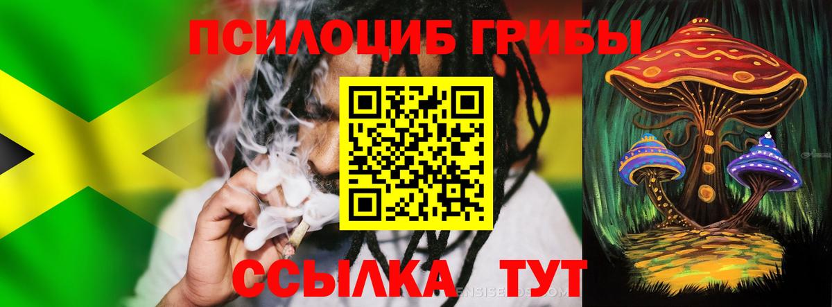 Псилоцибиновые грибы Psilocybine cubensis Узловая