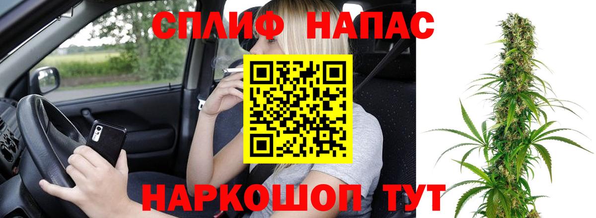 Каннабис индика Узловая